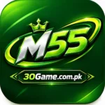 M55
